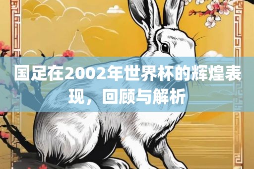 国足在2002年世界杯的辉煌表现，回顾与解析