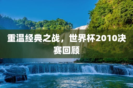 重温经典之战,世界杯2010决赛回顾