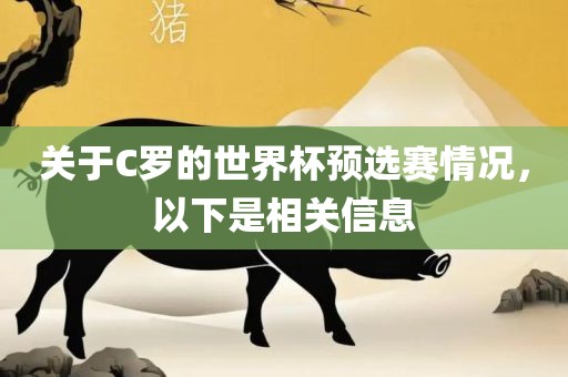 关于C罗的世界杯预选赛情况，以下是相关信息