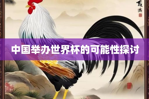 中国举办世界杯的可能性探讨