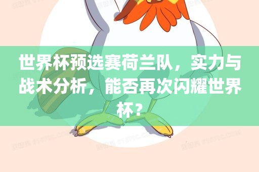 世界杯预选赛荷兰队，实力与战术分析，能否再次闪耀世界杯？