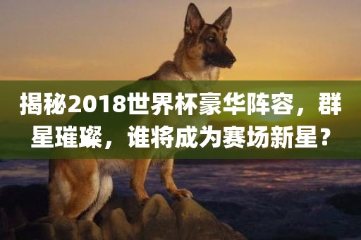 揭秘2018世界杯豪华阵容,群星璀璨,谁将成为赛场新星?