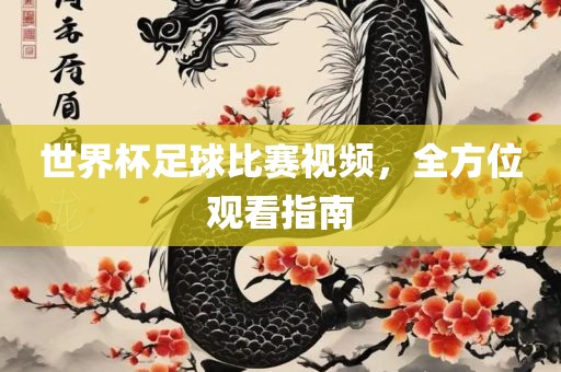 世界杯足球比赛视频，全方位观看指南