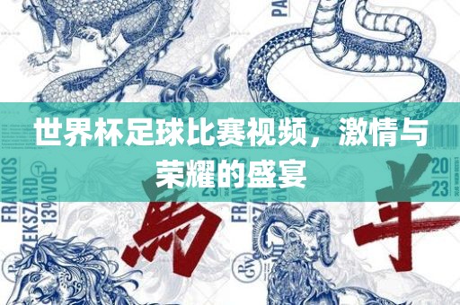 世界杯足球比赛视频，激情与荣耀的盛宴