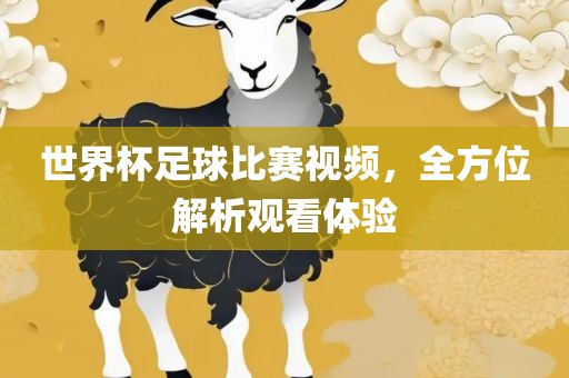 世界杯足球比赛视频，全方位解析观看体验