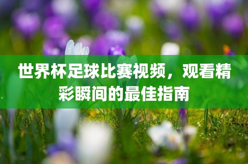 世界杯足球比赛视频，观看精彩瞬间的最佳指南