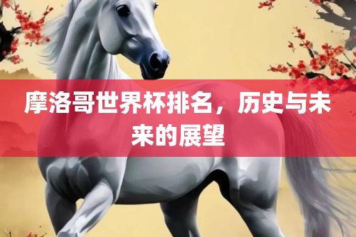 摩洛哥世界杯排名，历史与未来的展望