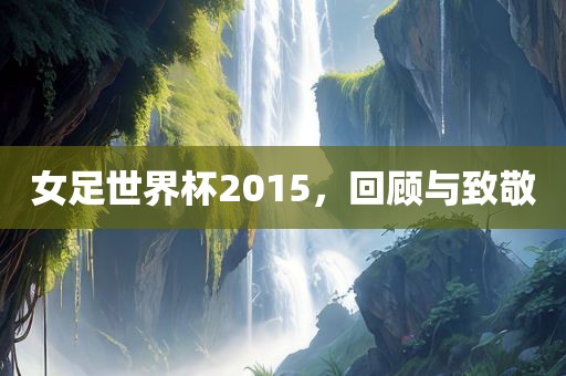 女足世界杯2015，回顾与致敬