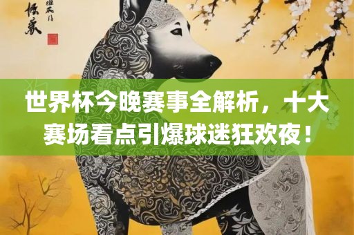 世界杯今晚赛事全解析，十大赛场看点引爆球迷狂欢夜！