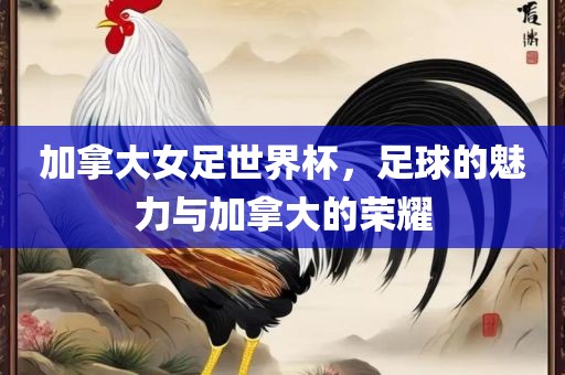 加拿大女足世界杯，足球的魅力与加拿大的荣耀