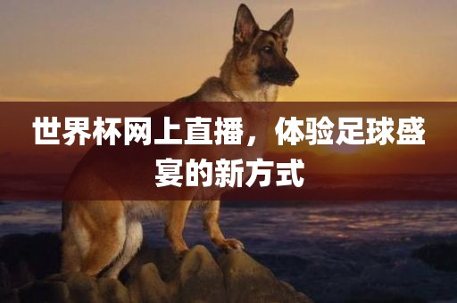 世界杯网上直播，体验足球盛宴的新方式
