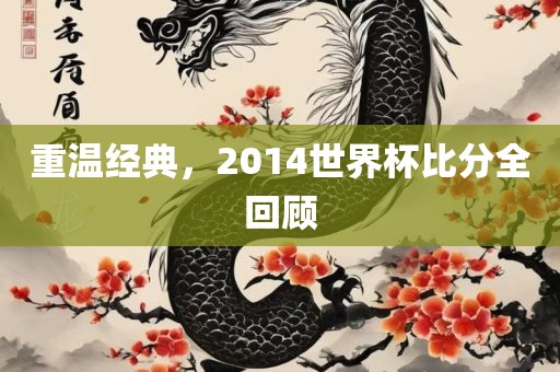 重温经典，2014世界杯比分全回顾