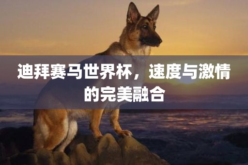迪拜赛马世界杯，速度与激情的完美融合