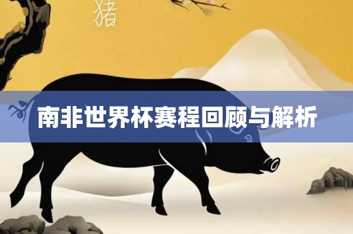 南非世界杯赛程回顾与解析