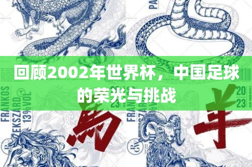 回顾2002年世界杯,中国足球的荣光与挑战