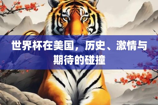 世界杯在美国，历史、激情与期待的碰撞