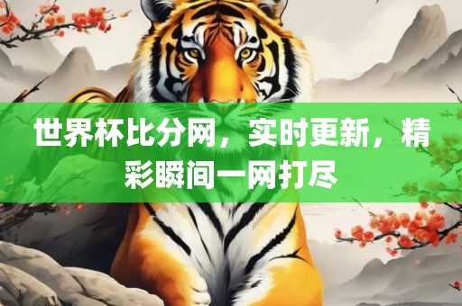 世界杯比分网，实时更新，精彩瞬间一网打尽