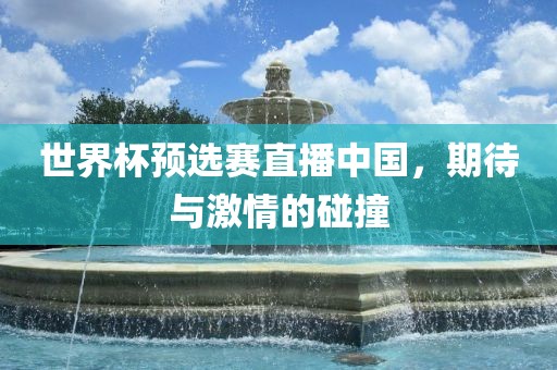 世界杯预选赛直播中国，期待与激情的碰撞