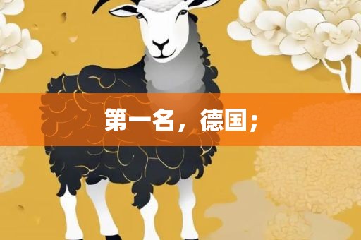 第一名，德国；
