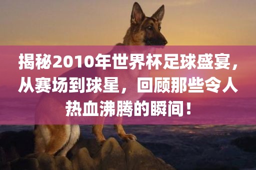揭秘2010年世界杯足球盛宴，从赛场到球星，回顾那些令人热血沸腾的瞬间！