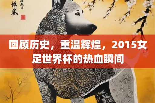 回顾历史，重温辉煌，2015女足世界杯的热血瞬间