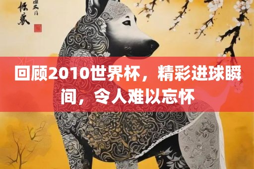 回顾2010世界杯，精彩进球瞬间，令人难以忘怀
