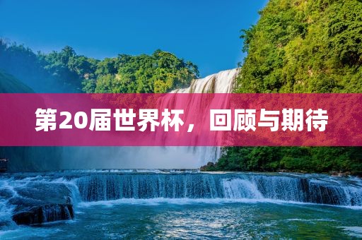 第20届世界杯,回顾与期待