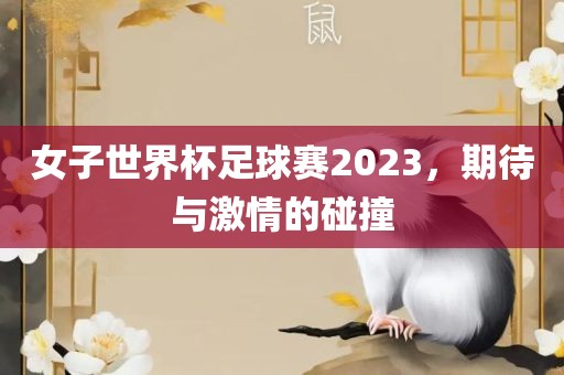 女子世界杯足球赛2023,期待与激情的碰撞