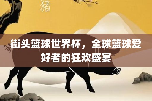 街头篮球世界杯,全球篮球爱好者的狂欢盛宴