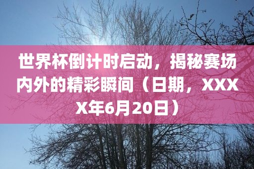 世界杯倒计时启动，揭秘赛场内外的精彩瞬间（日期，XXXX年6月20日）