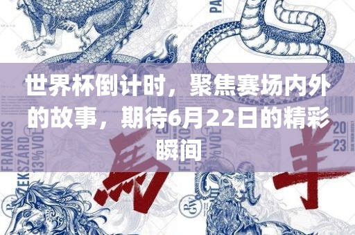 世界杯倒计时，聚焦赛场内外的故事，期待6月22日的精彩瞬间