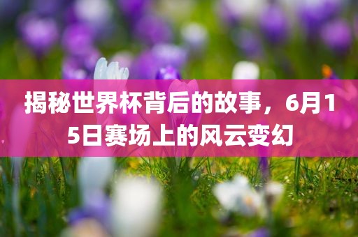 揭秘世界杯背后的故事，6月15日赛场上的风云变幻