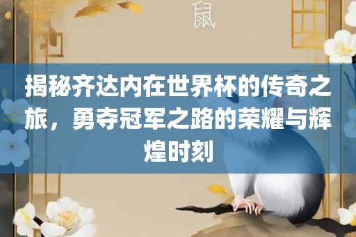 揭秘齐达内在世界杯的传奇之旅，勇夺冠军之路的荣耀与辉煌时刻