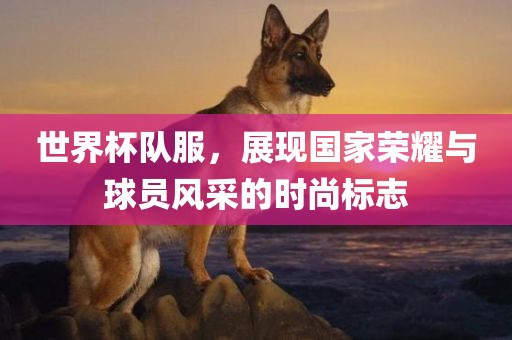 世界杯队服，展现国家荣耀与球员风采的时尚标志