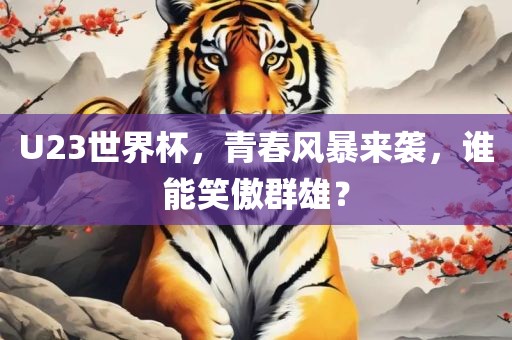U23世界杯，青春风暴来袭，谁能笑傲群雄？