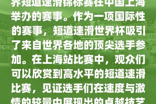 短道速滑世界杯上海站是指世界短道速滑锦标赛在中国上海举办的赛事。作为一项国际性的赛事，短道速滑世界杯吸引了来自世界各地的顶尖选手参加。在上海站比赛中，观众们可以欣赏到高水平的短道速滑比赛，见证选手们在速度与激情的较量中展现出的卓越技艺和竞技精神。