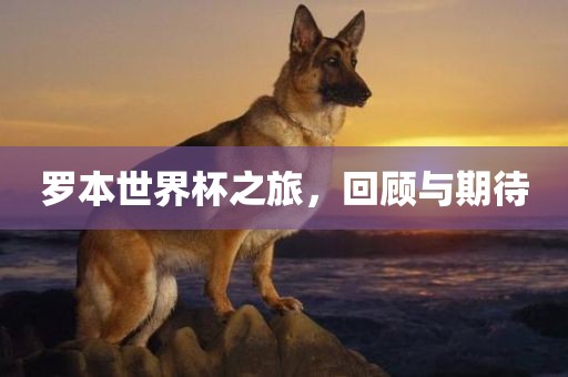 罗本世界杯之旅，回顾与期待