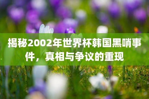 揭秘2002年世界杯韩国黑哨事件，真相与争议的重现