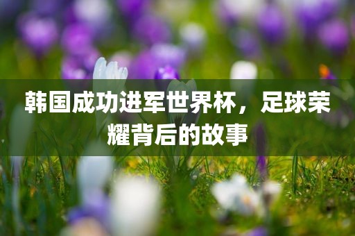 韩国成功进军世界杯，足球荣耀背后的故事
