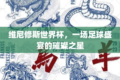 维尼修斯世界杯,一场足球盛宴的璀璨之星