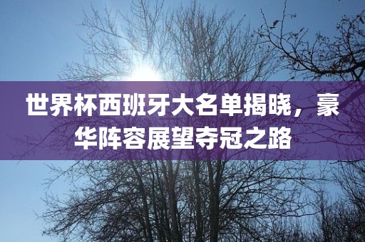 世界杯西班牙大名单揭晓，豪华阵容展望夺冠之路