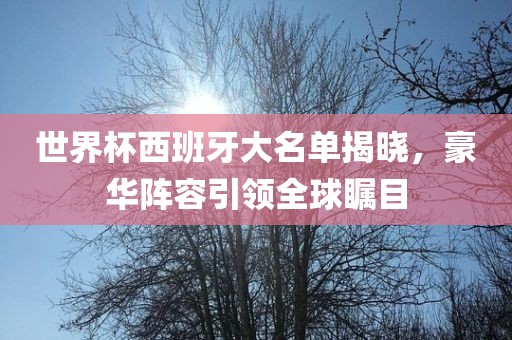 世界杯西班牙大名单揭晓，豪华阵容引领全球瞩目