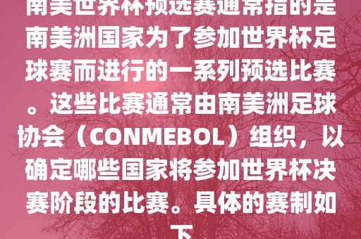南美世界杯预选赛通常指的是南美洲国家为了参加世界杯足球赛而进行的一系列预选比赛。这些比赛通常由南美洲足球协会（CONMEBOL）组织，以确定哪些国家将参加世界杯决赛阶段的比赛。具体的赛制如下