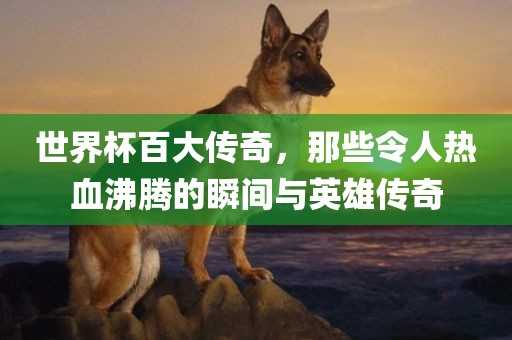 世界杯百大传奇，那些令人热血沸腾的瞬间与英雄传奇