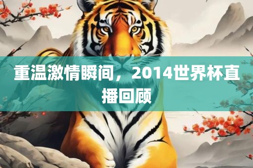 重温激情瞬间，2014世界杯直播回顾