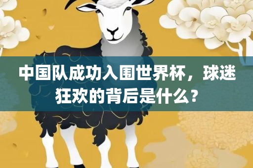 中国队成功入围世界杯，球迷狂欢的背后是什么？