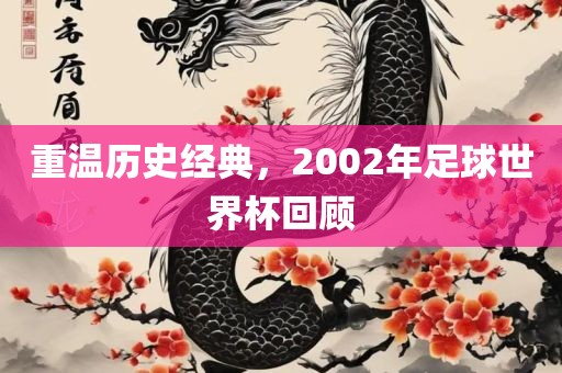重温历史经典，2002年足球世界杯回顾