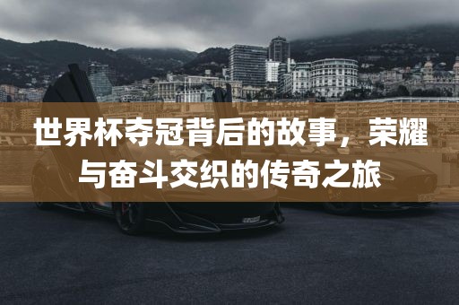 世界杯夺冠背后的故事，荣耀与奋斗交织的传奇之旅