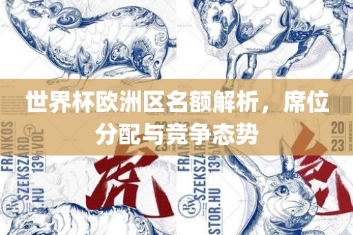 世界杯欧洲区名额解析，席位分配与竞争态势