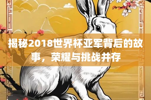 揭秘2018世界杯亚军背后的故事，荣耀与挑战并存